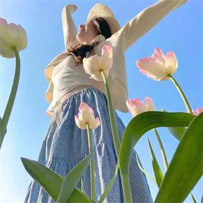 韩礼帮办 在线观看