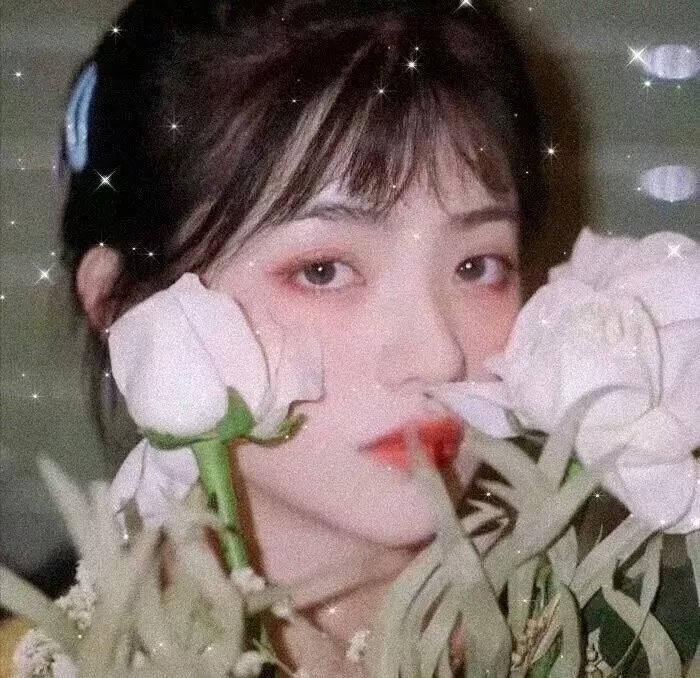 臭鼬 在线观看